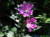 Cascate del Verde-photogallery-25-IMG_3758+.jpg